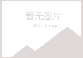 北海银海夏日化学有限公司